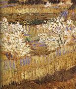 Vincent Van Gogh Detail of blooming peach Spain oil painting artist